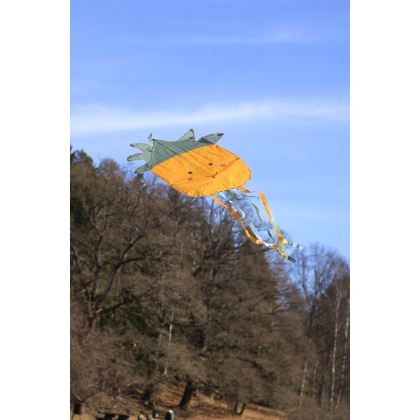 Duży latawiec ananas Jabadabado